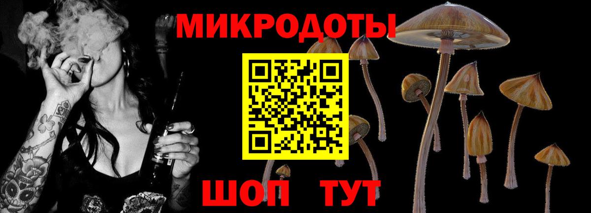 Галлюциногенные грибы Psilocybine cubensis  Вход с VPN  Псилоцибиновые грибы Magic Shrooms  цена наркотик  Великие Луки 